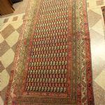 851 5027 ORIENTAL RUG